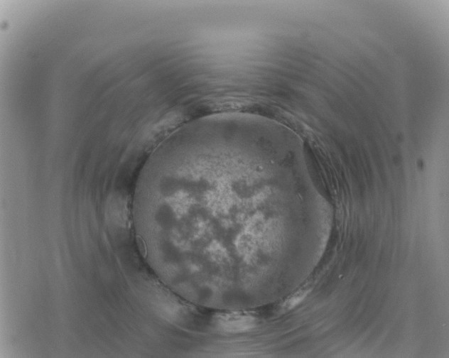 X0000074340331200609011634