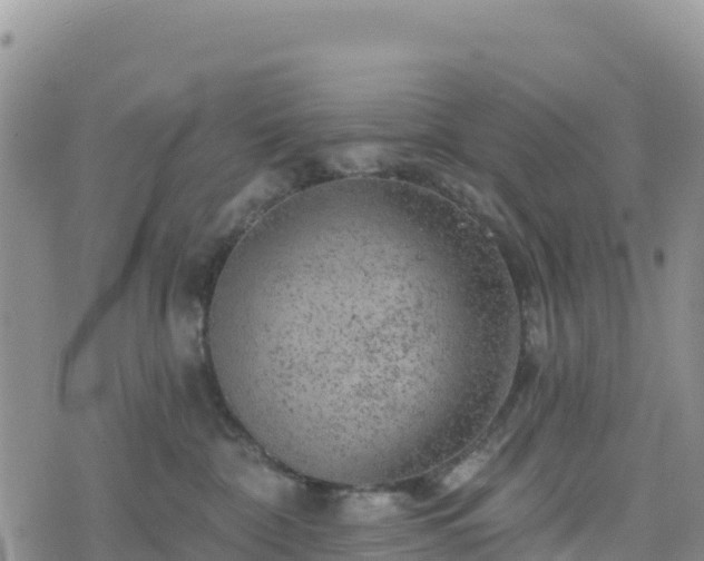 X0000074340332200609011634