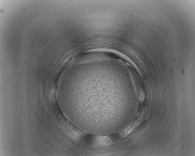 X0000074340333200609011634