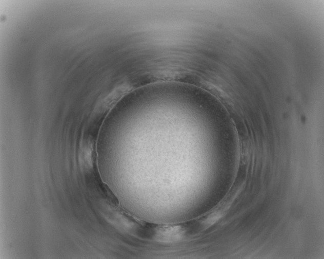 X0000074340334200609011634