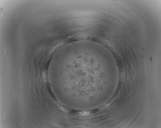 X0000074340335200609011634