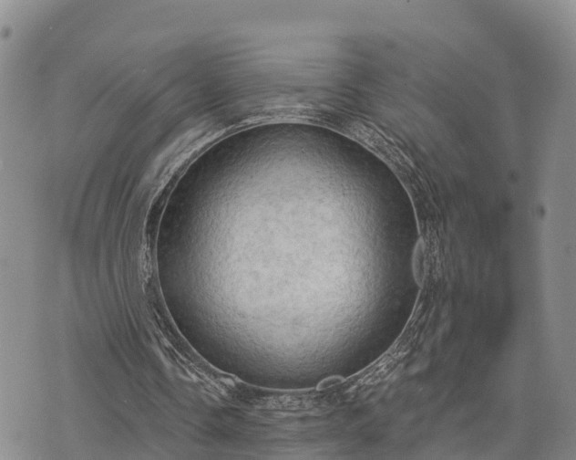 X0000074340338200609011633