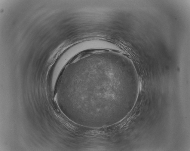 X0000074340339200609011633