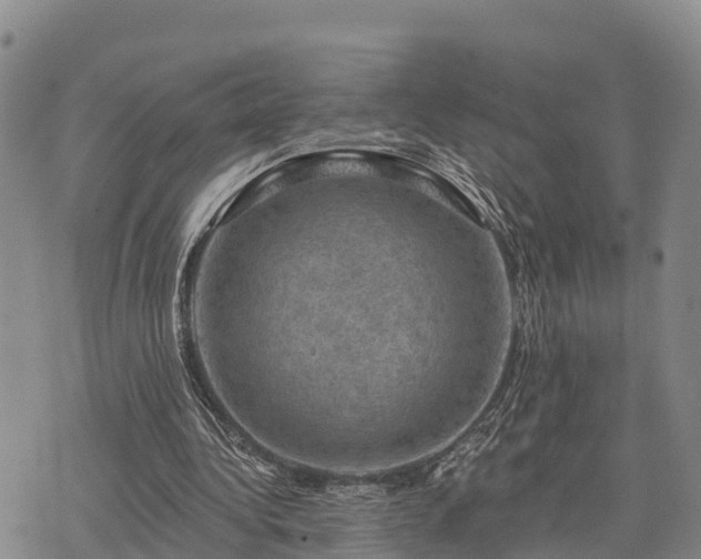 X0000074340340200609011633