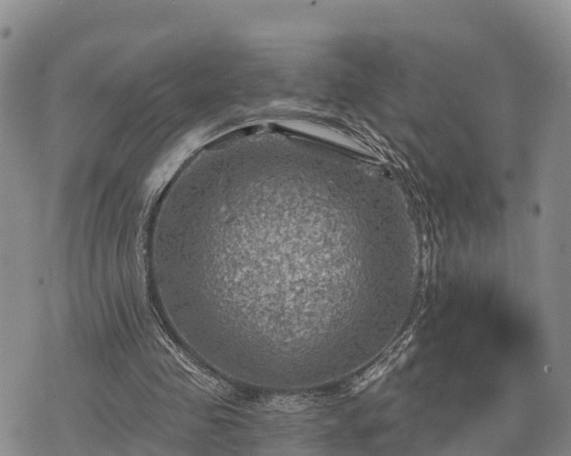 X0000074340341200609011633