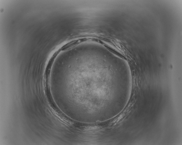 X0000074340342200609011633