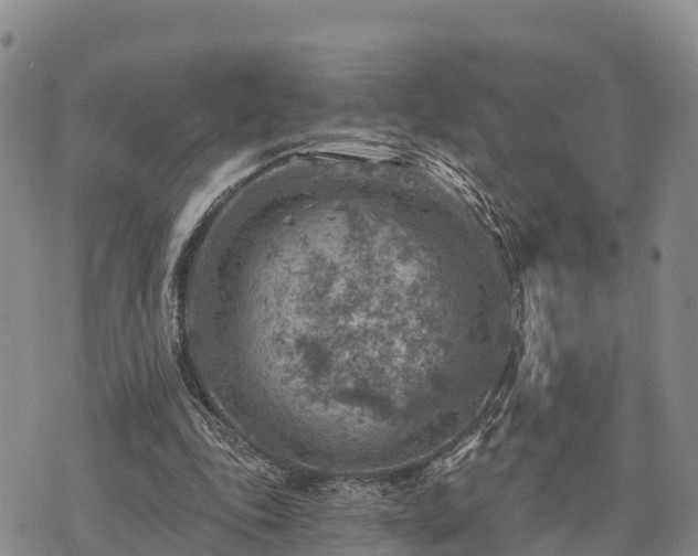 X0000074340343200609011633