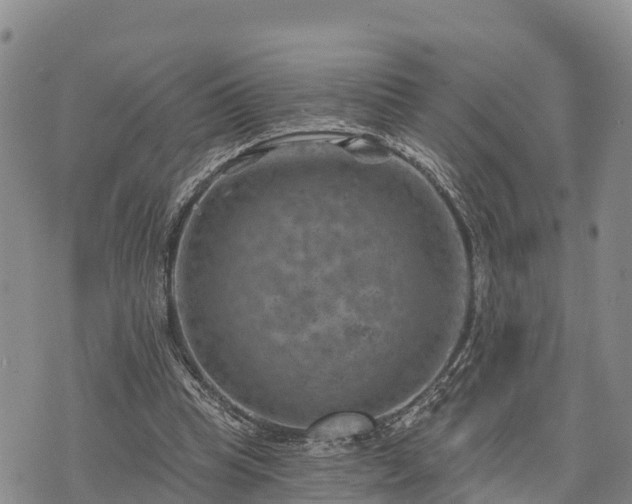 X0000074340345200609011633