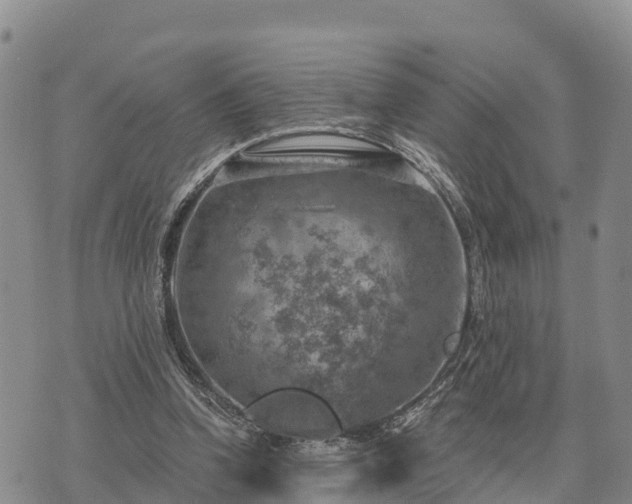 X0000074340346200609011633