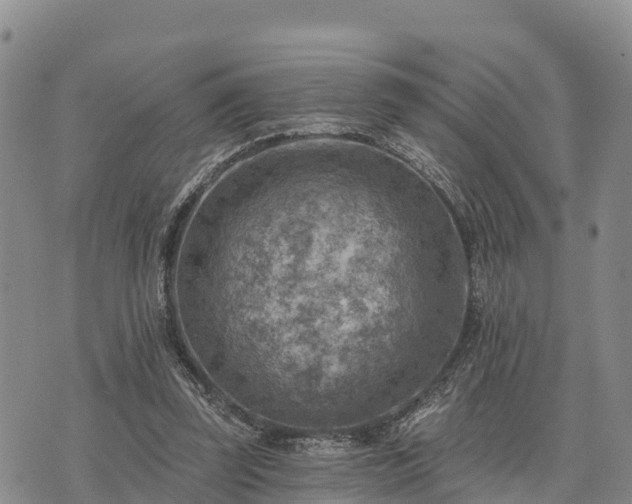 X0000074340347200609011633