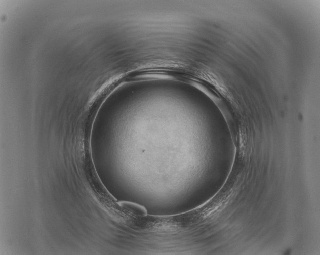 X0000074340348200609011633