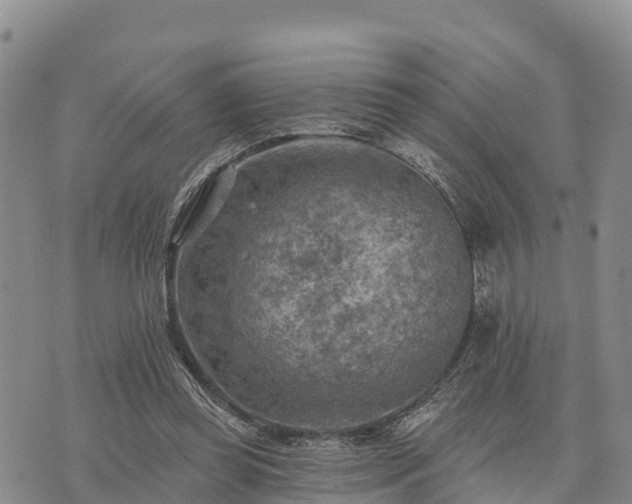 X0000074340349200609011633