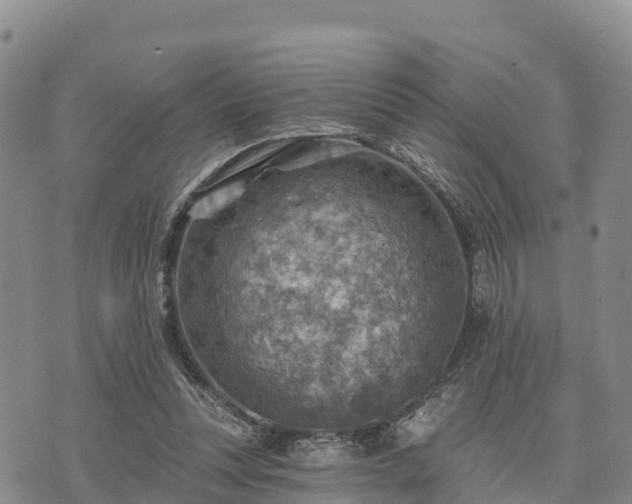 X0000074340351200609011634