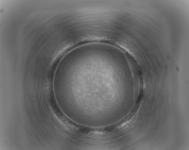 X0000074340352200609011634