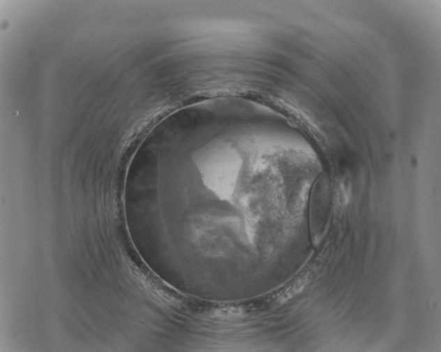 X0000074340353200609011634