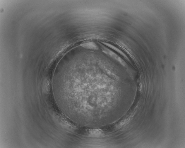 X0000074340355200609011634