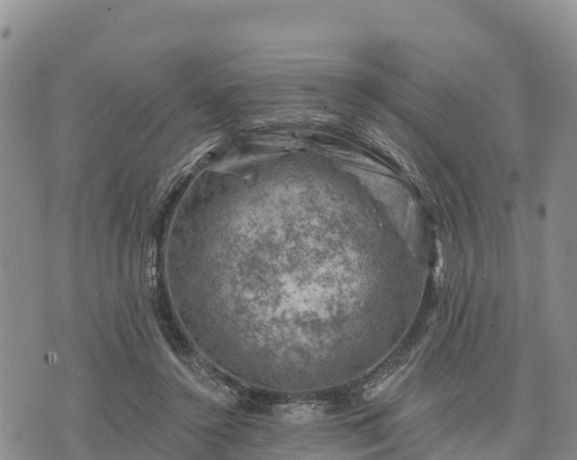 X0000074340356200609011634