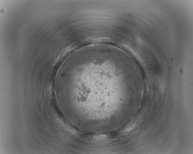 X0000074340357200609011634