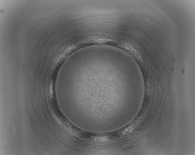 X0000074340358200609011634