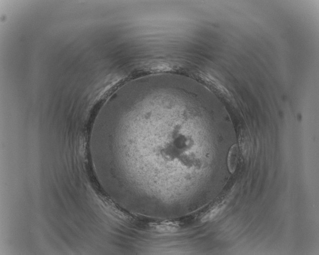 X0000074340359200609011634