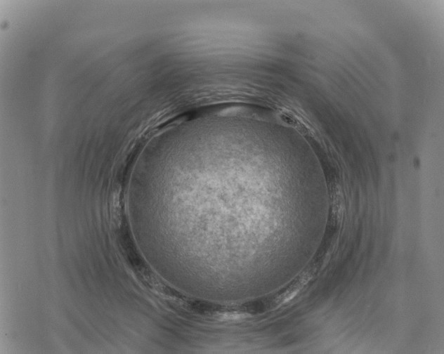 X0000074340360200609011634