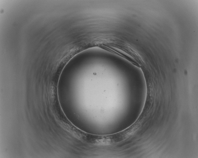 X0000074340362200609011634