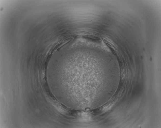 X0000074340365200609011634