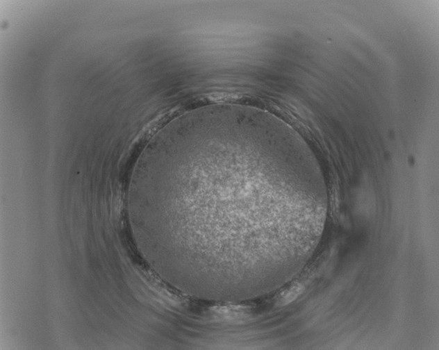 X0000074340367200609011634