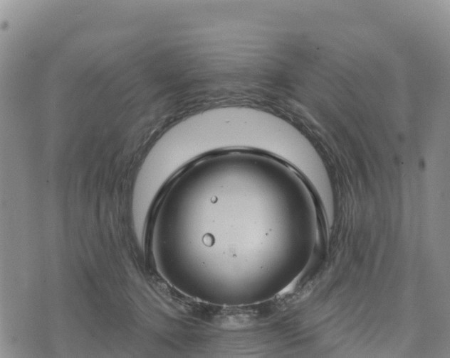 X0000074340368200609011634