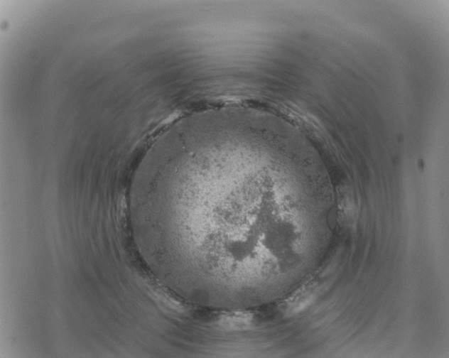 X0000074340369200609011634