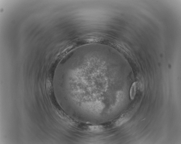 X0000074340371200609011634