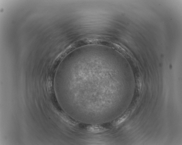 X0000074340372200609011634