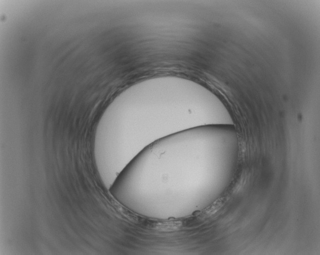 X0000074340373200609011634