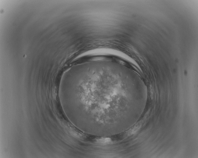 X0000074340374200609011634