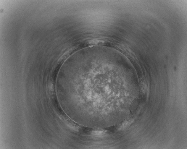 X0000074340375200609011634