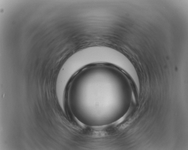 X0000074340376200609011634