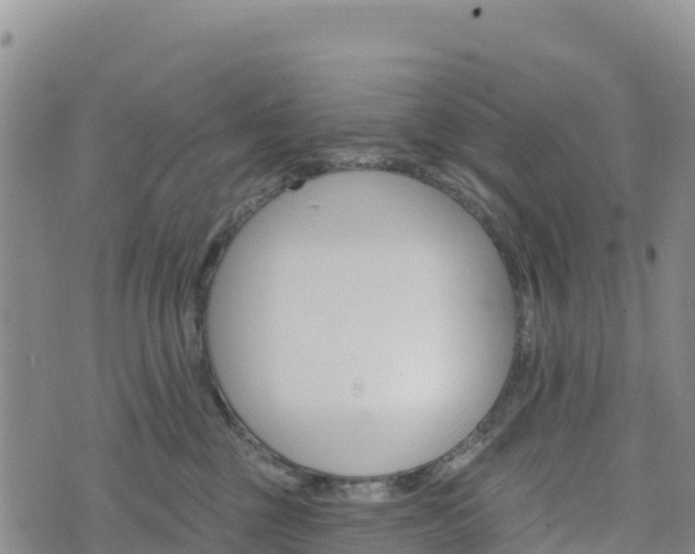 X0000074340377200609011634