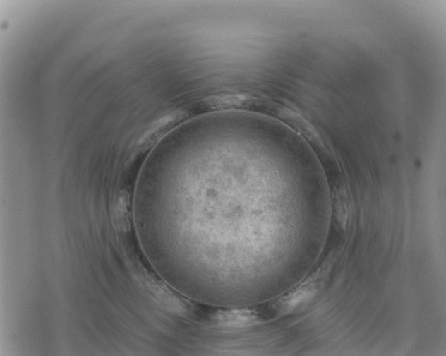 X0000074340378200609011634