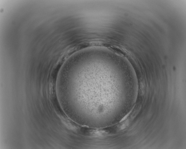 X0000074340379200609011634