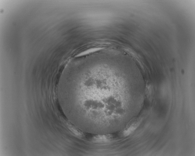 X0000074340381200609011634