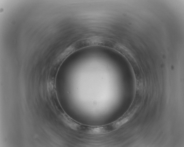 X0000074340382200609011634