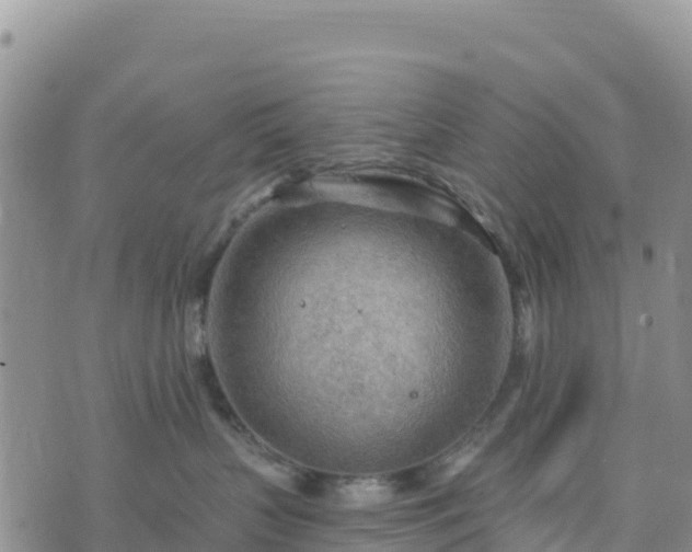 X0000074340383200609011634