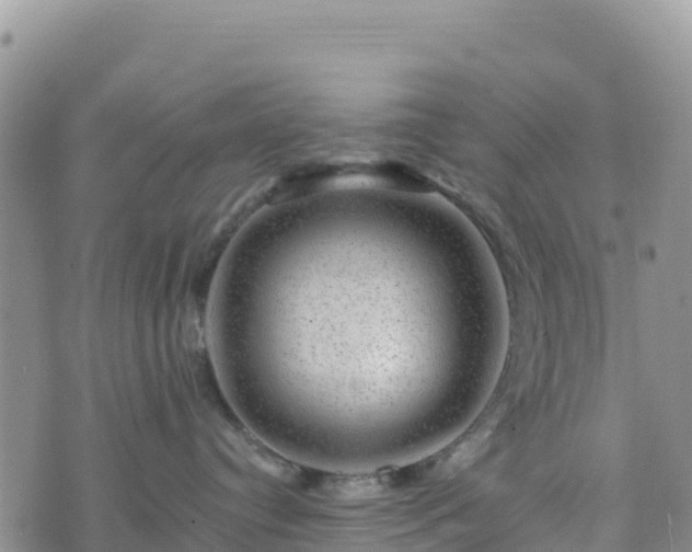 X0000074340384200609011634