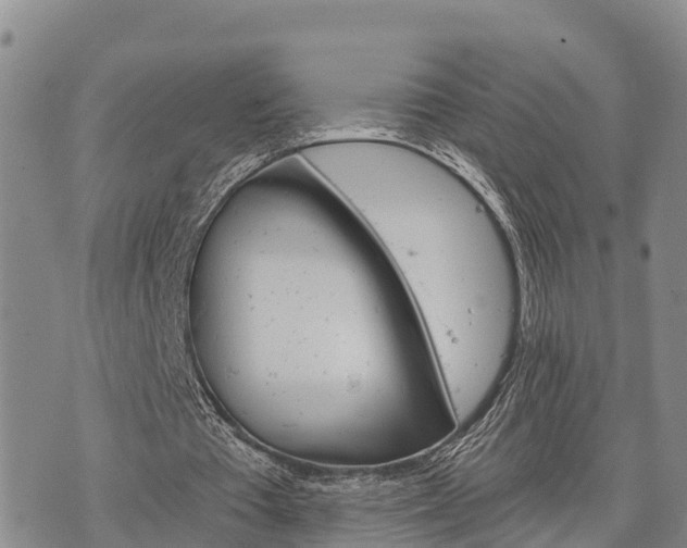 X0000074340385200609011633