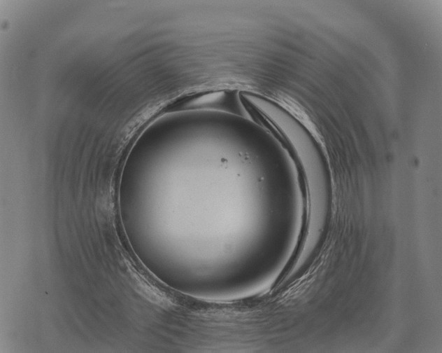 X0000074340389200609011633