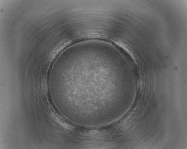 X0000074340390200609011633