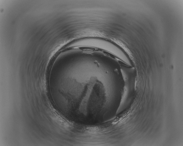 X0000074340391200609011633