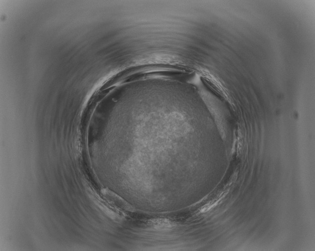 X0000074340392200609011633