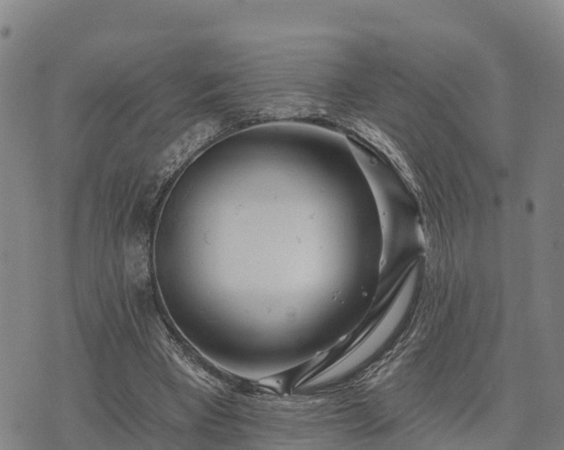 X0000074340393200609011633