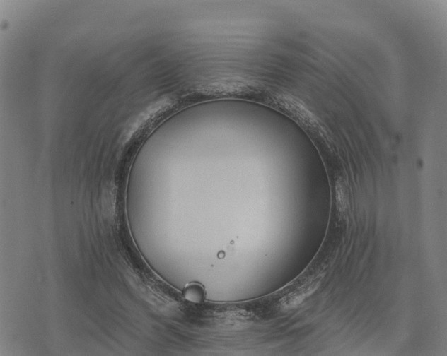 X0000074340396200609011633